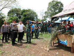 Kapoldasu dan Pangdam l/BB Pimpim Operasi Pemburuan Ladang Ganja di Madina