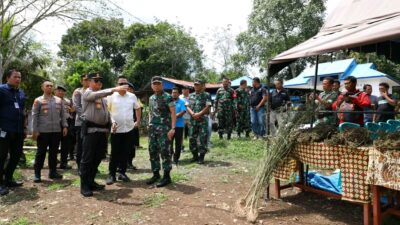 Kapoldasu dan Pangdam l/BB Pimpim Operasi Pemburuan Ladang Ganja di Madina