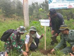 Kodim Boyolali dan Relawan, Tanam 500 Bibit Tanaman Keras di Sekitar Tuk Babon Lereng Merbabu