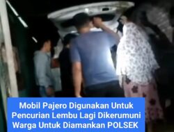 Gunakan Mobil Pajero, Komplotan Pencuri Lembu di Labuhanbatu Ketangkap Warga