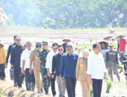 Panglima TNI Dampingi Presiden Tanam Padi di Jawa Tengah