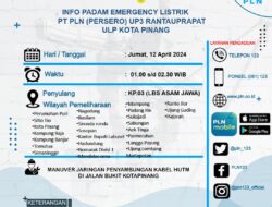 Menejer UP3 Labusel Minta maaf Atas Pemadaman PLN dan Memastikan Pasokan Cadangan