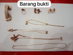 Komplotan Pelaku Pencurian di SPBU Asam Jawa Torgamba Ditangkap Polisi