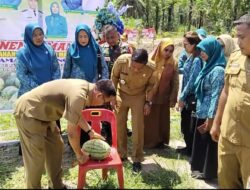 Bersama Masyarakat, Bupati Labusel Panen Raya Semangka