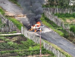 Brutal, OPM Kembali Bunuh Warga Sipil