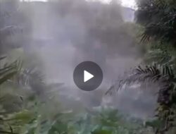 Pipa Bocor, Limbah Cemari Lingkungan di Pulo Padang Labuhanbatu