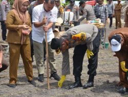 Dukung Program Nasional, Polres Labusel Ikut Tanam Jagung 1 Juta Hektar