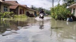 Sejumlah Rumah Warga di Labusel Tergenang Banjir, Elektronik Rumah Rusak Parah