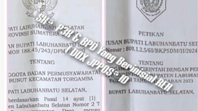 Diduga Rangkap Jabatan, Oknum PPPK di Labusel Jadi Sorotan