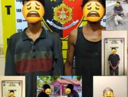Polres Labusel Bentuk Satgas Curi Sawit, Enam Pelaku Ditangkap