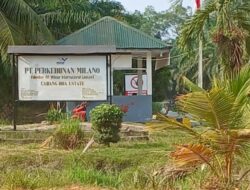 Warga Desa Seina Hodaris Keluhkan PT Milano Diduga Tak Pernah Salurkan Plasma