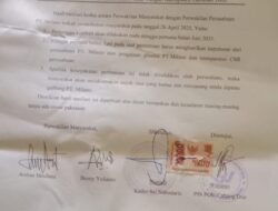 Plasma Tidak Disalurkan, HGU Perkebunan Milano Cabang Dua Estate Juga Tidak Diperpanjang Sejak 2022