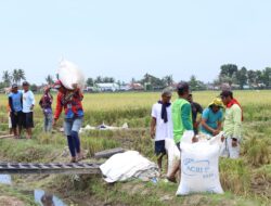 TNI Dukung Ketahanan Pangan Nasional