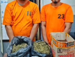 Gara-Gara Bawa Ganja, Sopir Truk Nekat Tabrak Polisi di Aek Kanopan