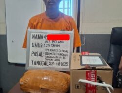 Sat Res Narkoba Polres Labuhanbatu Tangkap Pengedar Ganja di Rantauprapat
