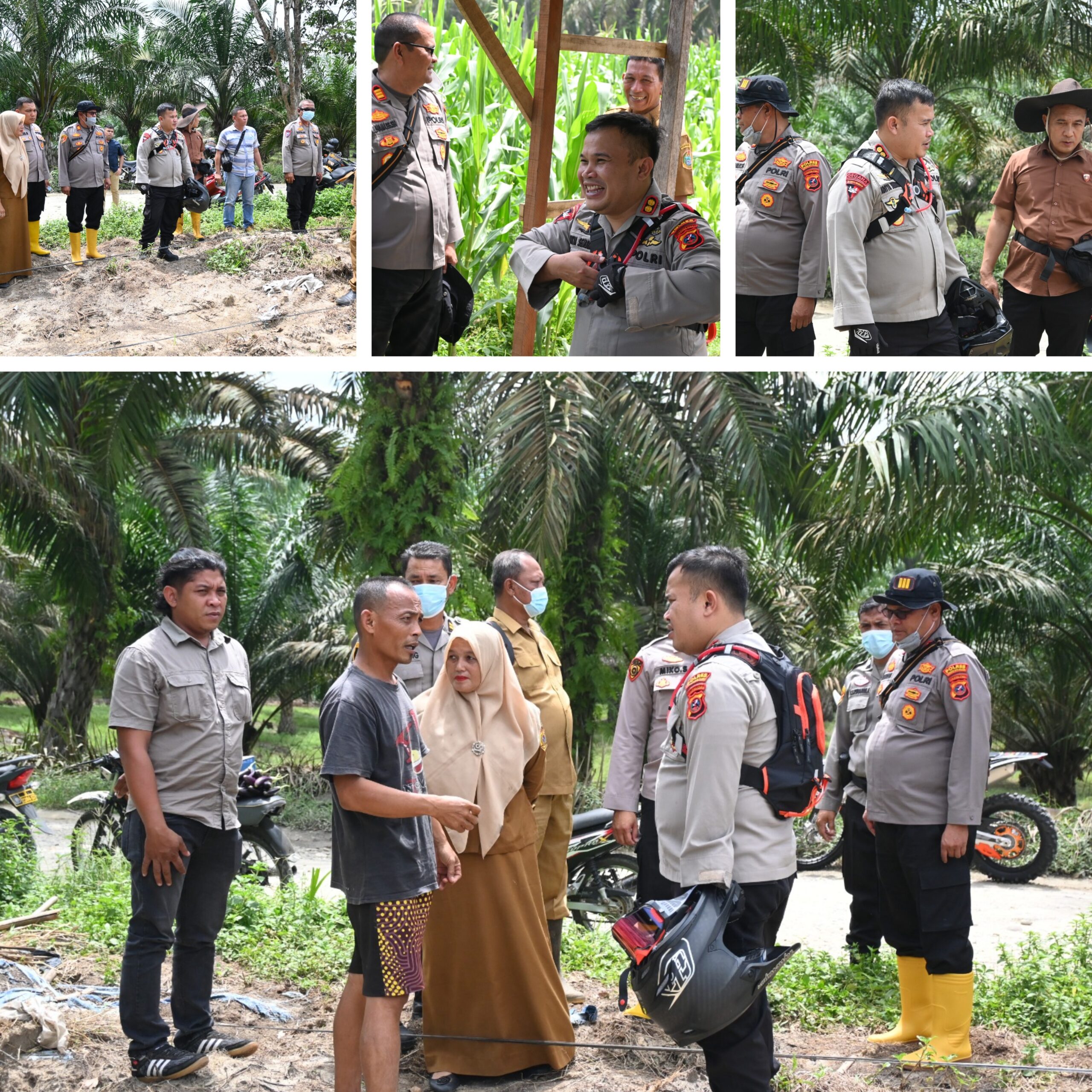 Dorong Swasembada Pangan dan Kemandirian Petani:Kapolres Labusel Tinjau Penanaman Jagung Serentak Kuartal IV di Kampung Rakyat