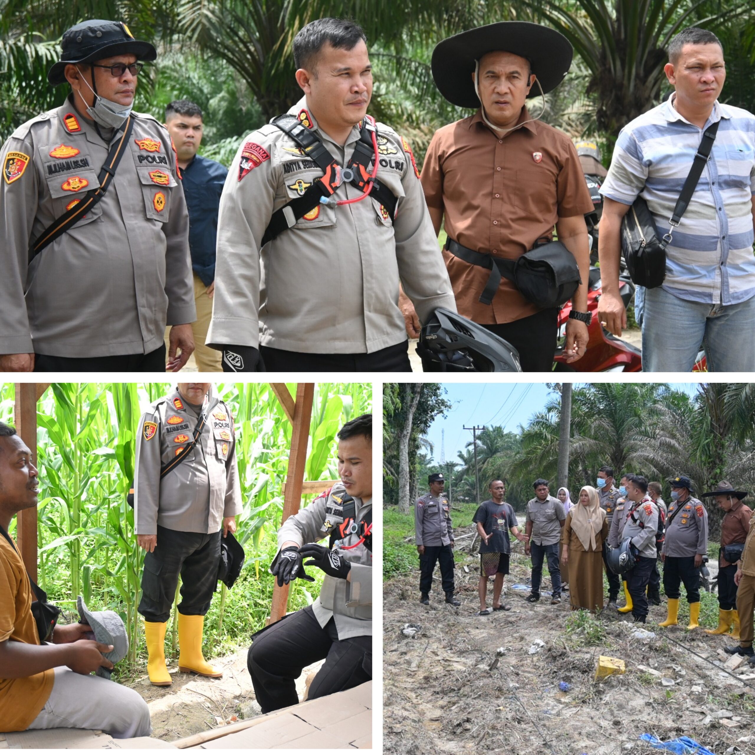 Dorong Swasembada Pangan dan Kemandirian Petani:Kapolres Labusel Tinjau Penanaman Jagung Serentak Kuartal IV di Kampung Rakyat