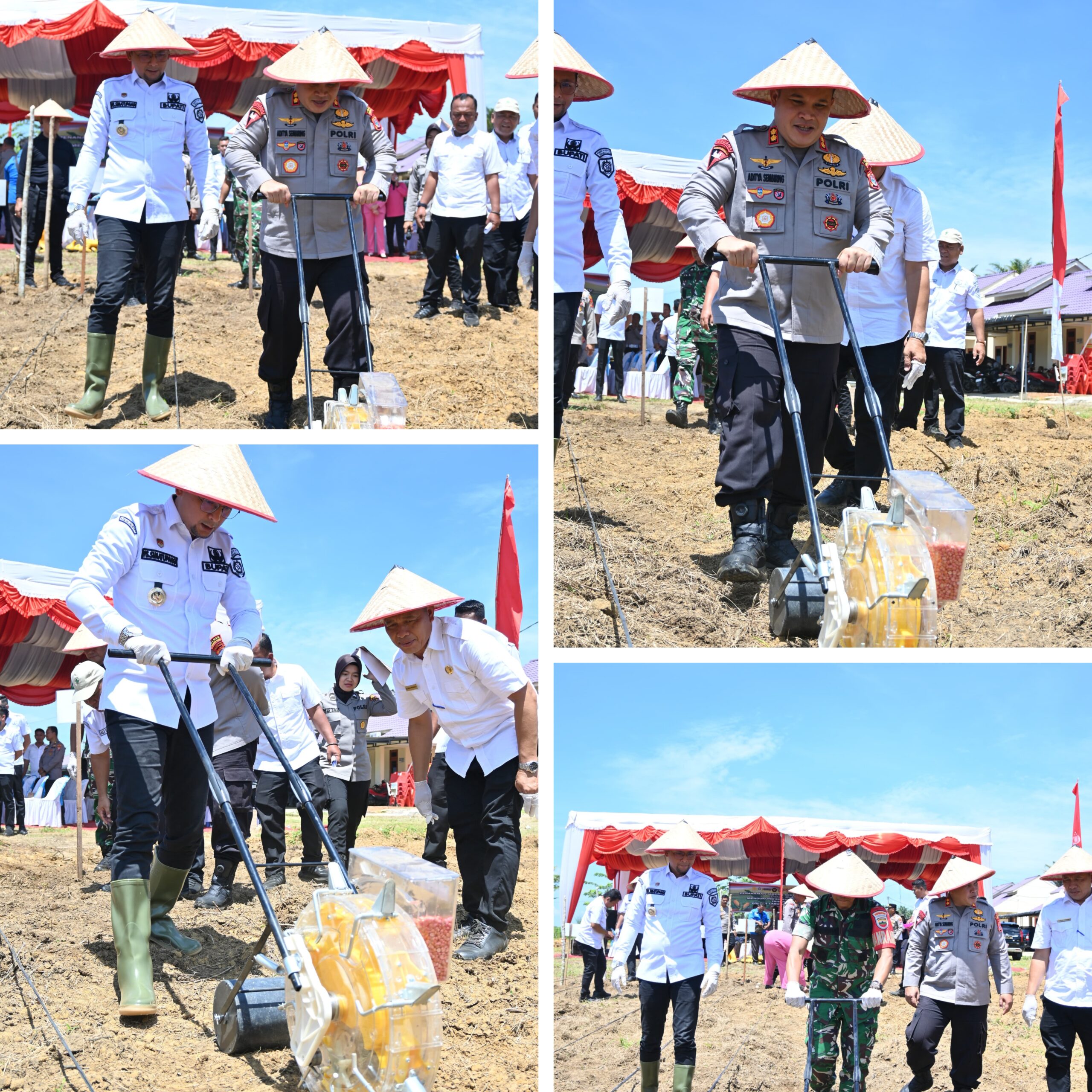 Dorong Ketahanan Pangan di Daerah labuhanbatu selatan,Kapolres Labusel Penanaman Jagung Serentak Kuartal IV