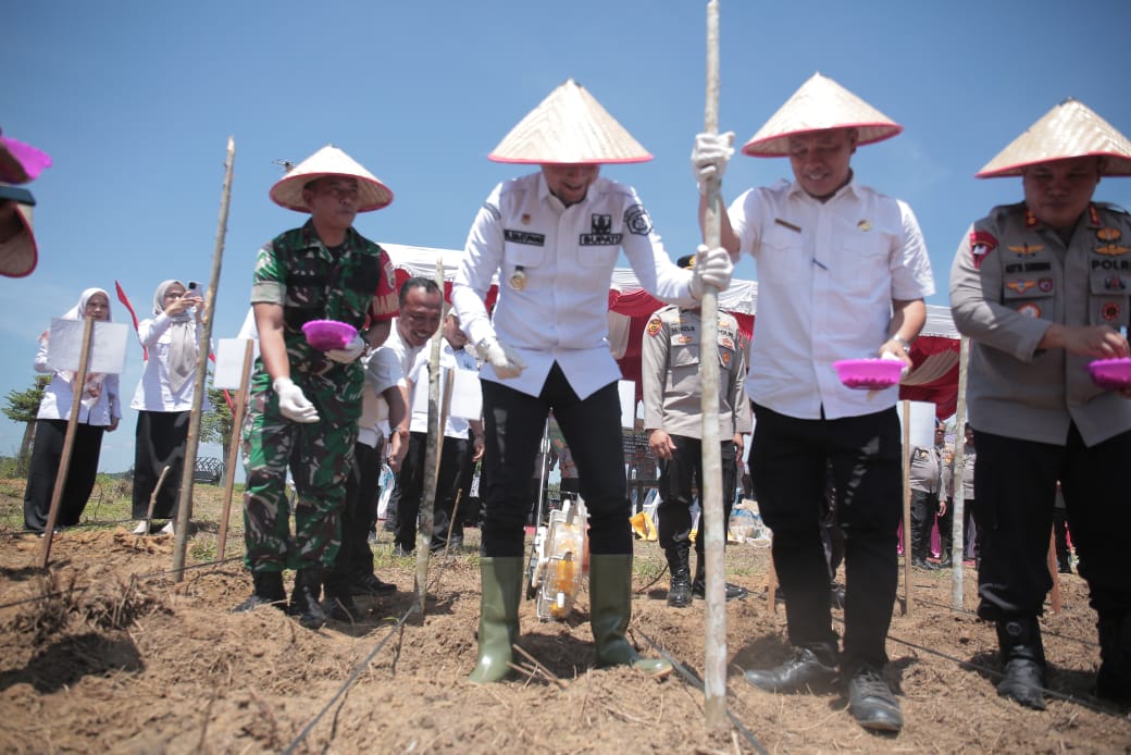 Dorong Ketahanan Pangan di Daerah labuhanbatu selatan,Kapolres Labusel Penanaman Jagung Serentak Kuartal IV
