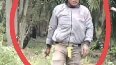 Lahan Sitaan Satgas PKH di Rohil Berujung Bentrok