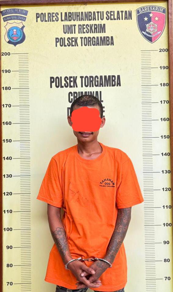 Cepat dan Tepat! Polsek Torgamba Tangkap Pelaku Curanmor Beserta Barang Bukti