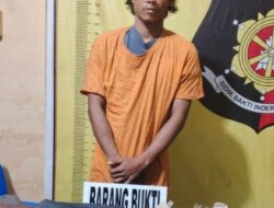 Polsek Paten Tangkap Pengedar Ganja di Area Perkebunan PTPN