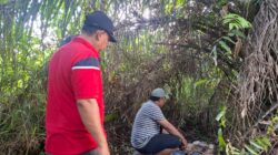 Giat GSN Polsek Bihil, Pondok Pengguna Narkoba di Negeri Lama Dirobohkan