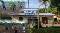 PTPN IV  Kebun Sei Putih Bantah Dugaan Penyimpangan TU dan TK, Tegaskan Seluruh Pekerjaan Sesuai SOP