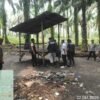 Polsek Na IX-X dan BNNK Labura Gelar Operasi Sarang Narkoba, Gubuk Diduga Lokasi Transaksi Narkoba Dibakar