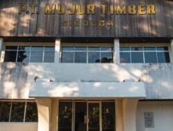 DJP Sumut Pelajari Dugaan Penggelapan dan Manipulasi Pajak PT. Mujur Timber